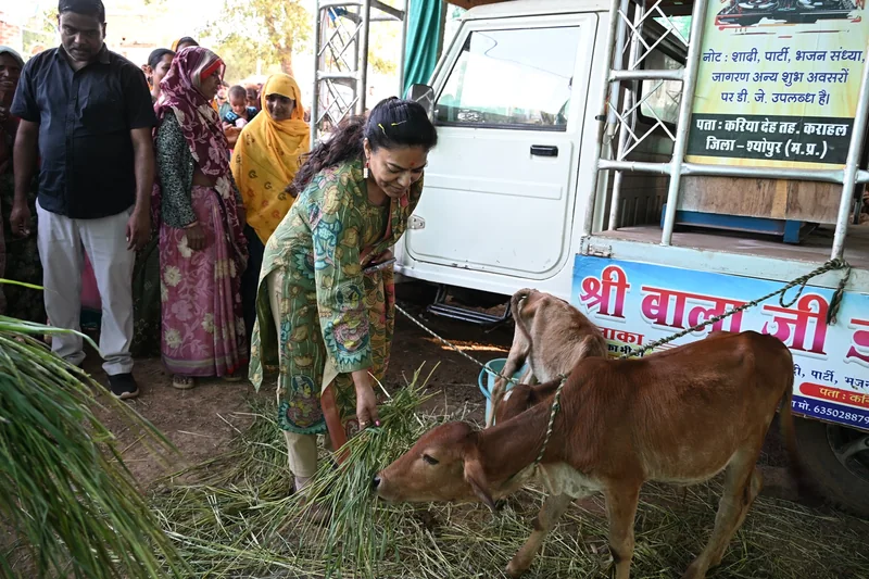 करियादेह में गौसेवा